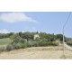 PRESTIGIOUS PALAZZO NOBILIARE IN THE COUNTRYSIDE FOR SALE IN FERMO SURROUNDING THE WONDERFUL 1800 IN PANORAMIC POSITION in the Marche region in Italy in Le Marche_26
